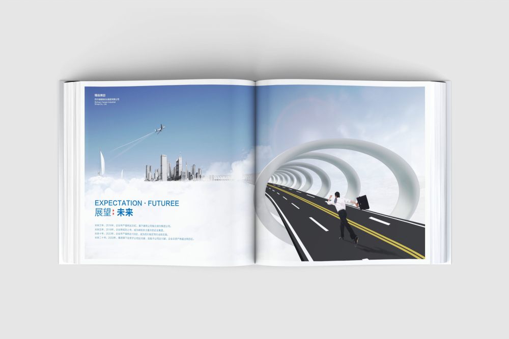 施秉县画册设计